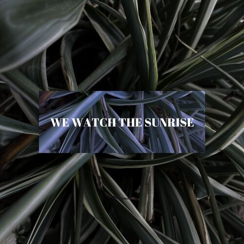 We watch the sunrise_poster_image