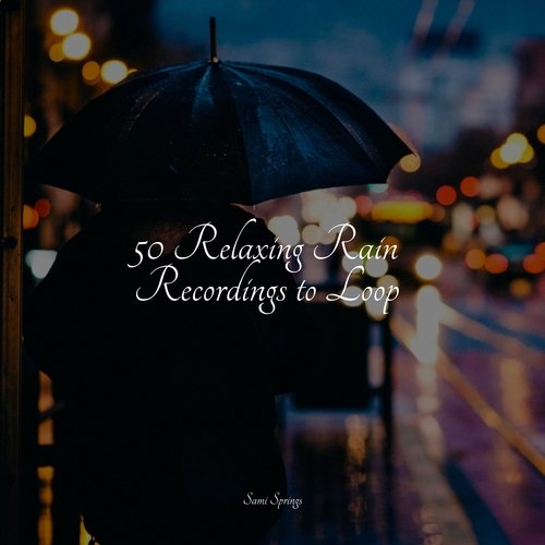 Rain, Storm and Thunder cover art