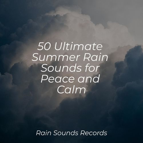 50 Ultimate Summer Rain Sounds for Peace and Calm