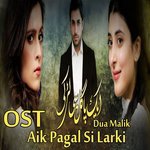 Aik Pagal Si Larki