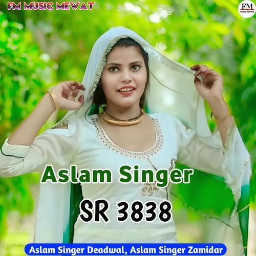 Aslam Singer SR 3838