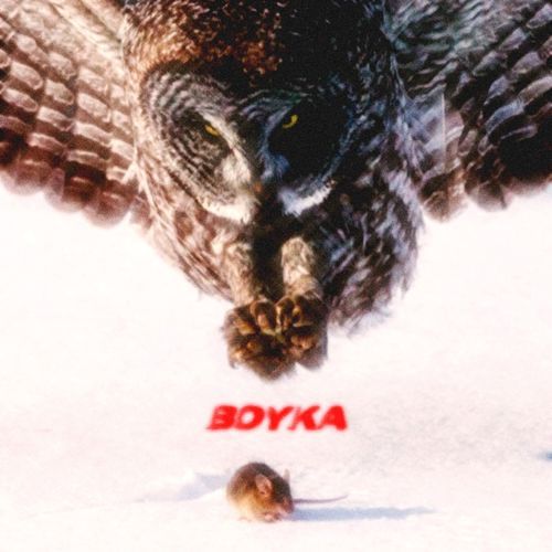BOYKA cover art