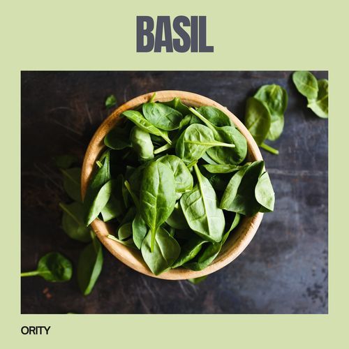 Basil cover art