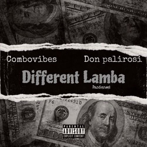 DIFFERENT LAMBA cover art