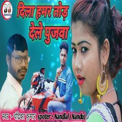 Dila Hamar Todi Dele Pujwa