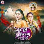 Dulha Driverwa Chahi Ho