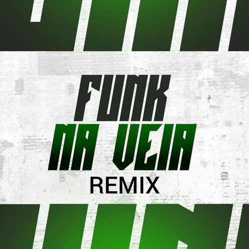 Funk Na Veia Remix