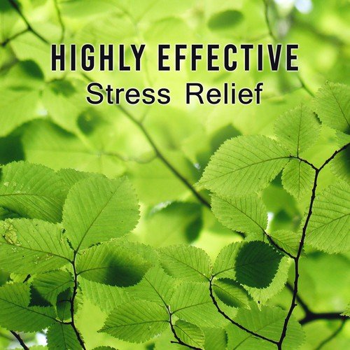 Highly Effective Stress Relief (Meditate to Help Ease Anxiety, Outdoor Sounds to Breathe Deeply, Tune In to Your Body, New Age Music)_poster_image