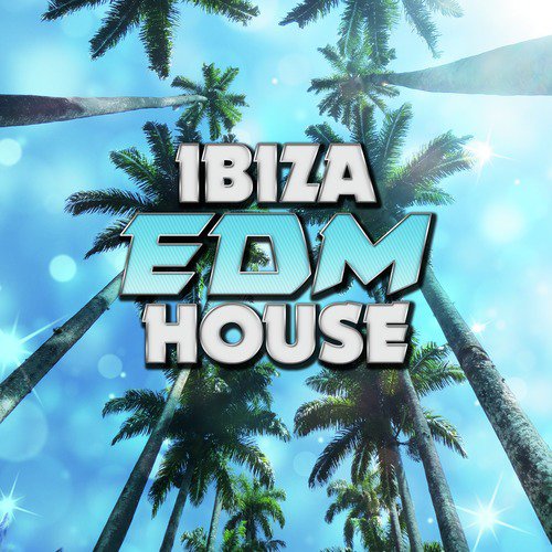 Ibiza EDM House_poster_image