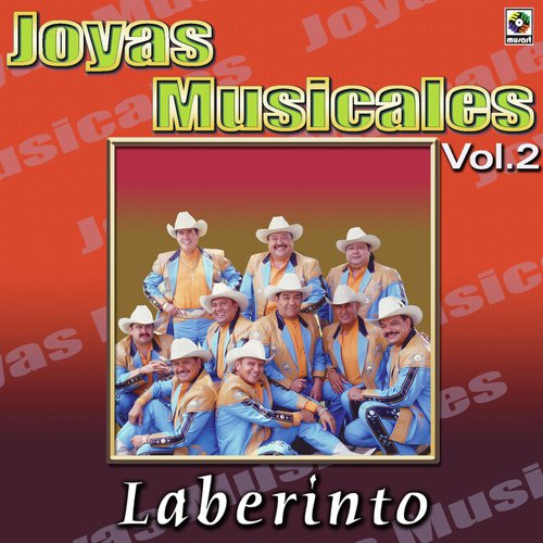 Joyas Musicales: Dedicadas a Ustedes, Vol. 2