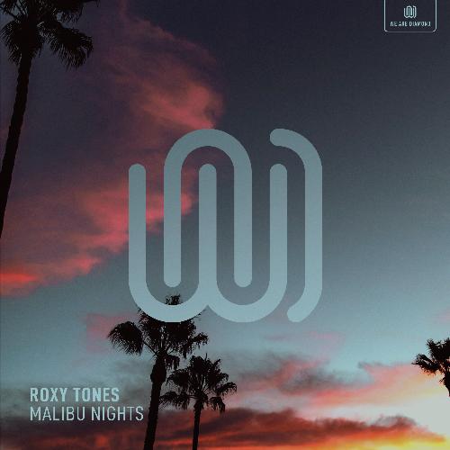 Malibu Nights_poster_image