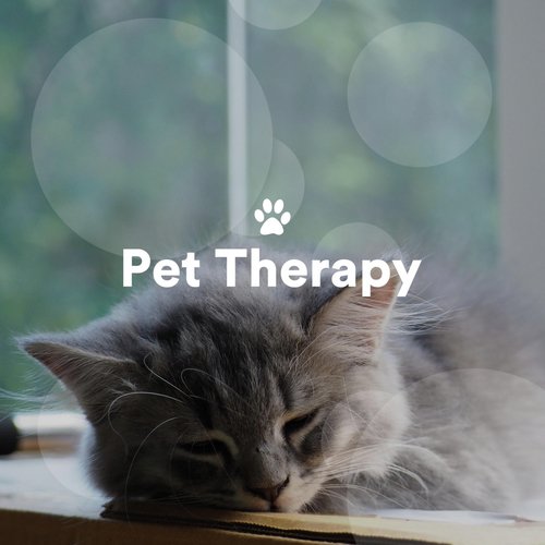 Pet Therapy: Relaxing Music for Dogs, Sleep Music for Cats