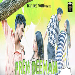 Prem Deewani-NgkFAAwJbnY