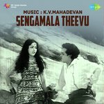 Naan Ondru Ninaithen Nadakkavillai