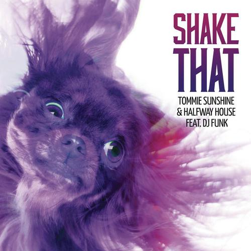 Shake That (Radio Edit)_poster_image