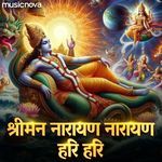 Shreeman Narayan Narayan Hari Hari