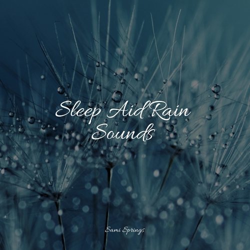 Sleep Aid Rain Sounds