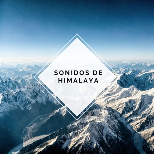 Actividades de Relajación cover art