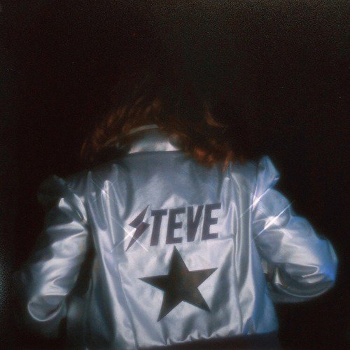 Steve cover art