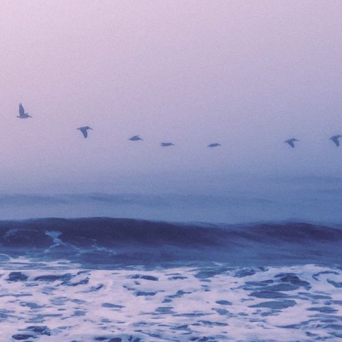 1 Ambient: Fleeting Dreams