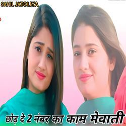 छोड़ दे 2 नंबर का काम मेवाती