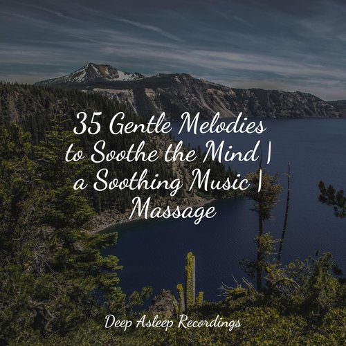 35 Gentle Melodies to Soothe the Mind | a Soothing Music | Massage_poster_image