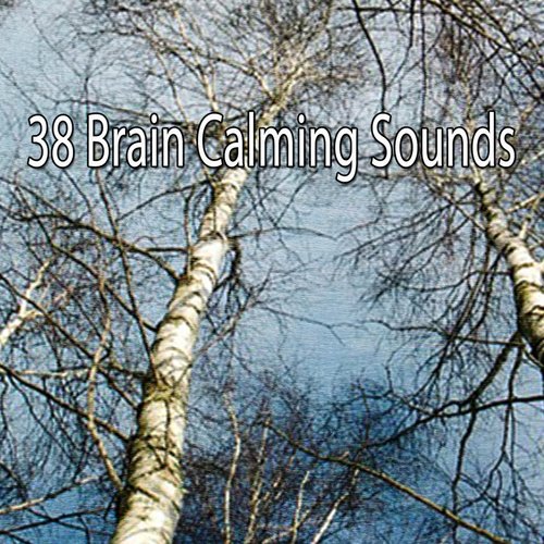 38 Brain Calming Sounds