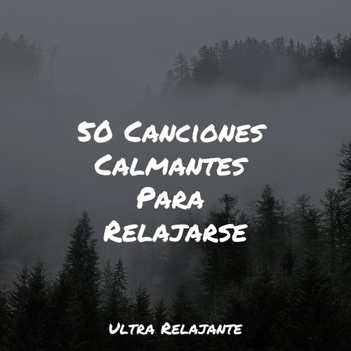 50 Canciones Calmantes Para Relajarse_poster_image