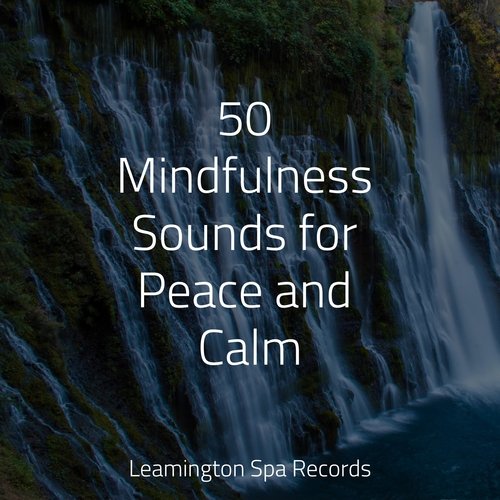 50 Mindfulness Sounds for Peace and Calm_poster_image