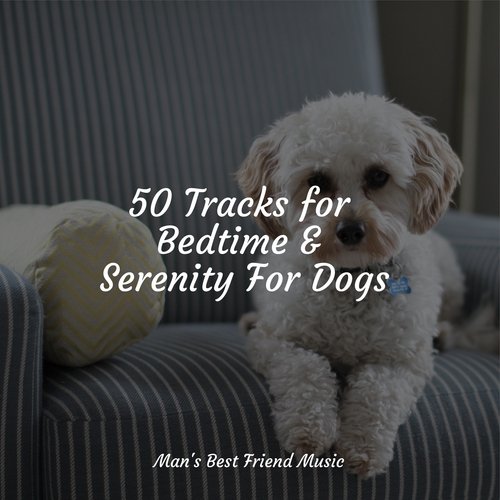 50 Tracks for Bedtime &amp; Serenity For Dogs_poster_image