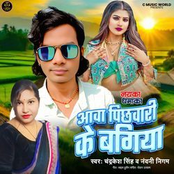 Aava Pichavari Ke Bagiya