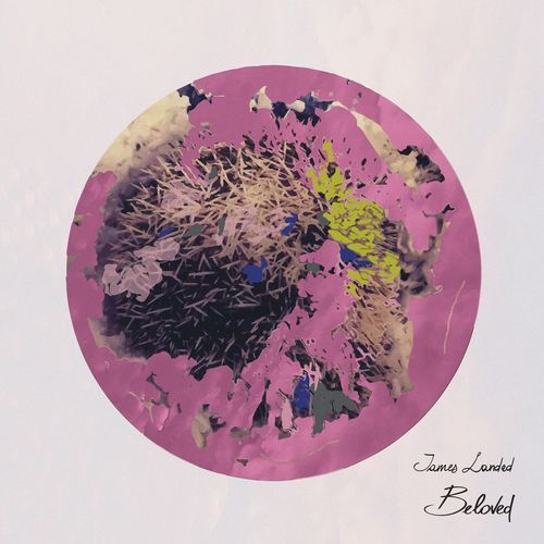 Franz cover art