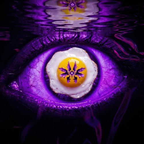 Weaknesses cover art