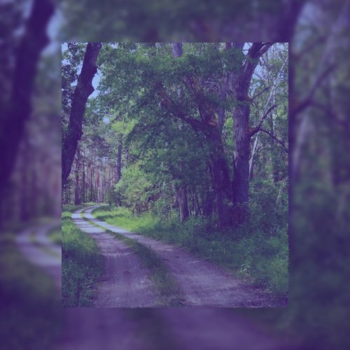 CONSCIOUSNESS cover art
