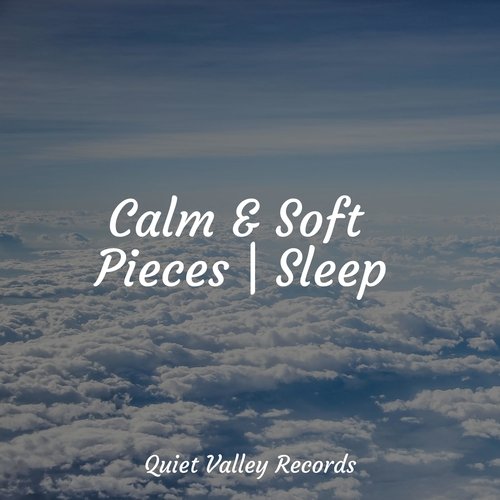 Calm &amp; Soft Pieces | Sleep_poster_image