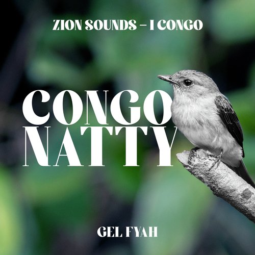 Congo Natty cover art