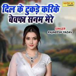 Dil Ke Tukde Karike Bevfa Sanam Mere