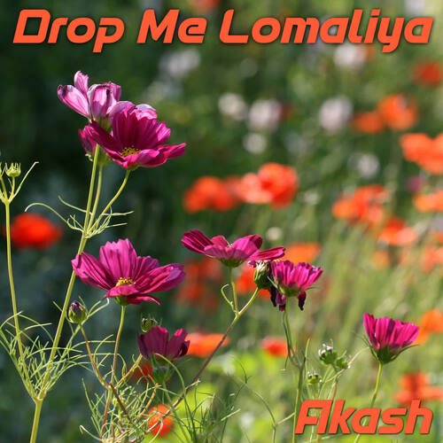 Drop Me Lomaliya
