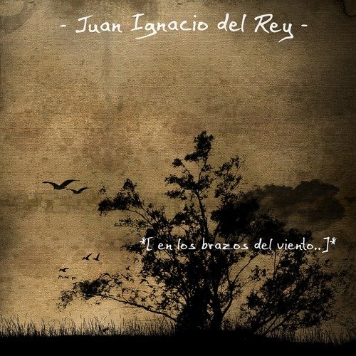El Hombre al Mundo cover art