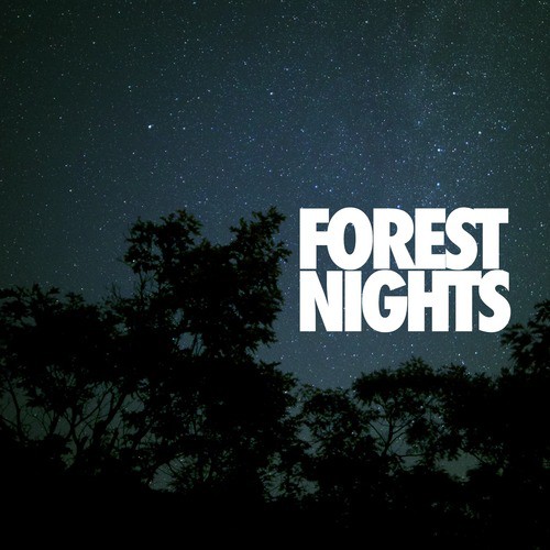 Forest Nights