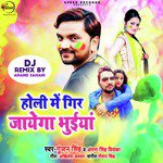 Holi Me Gir Jayega Bhuiyan (Remix) - Single