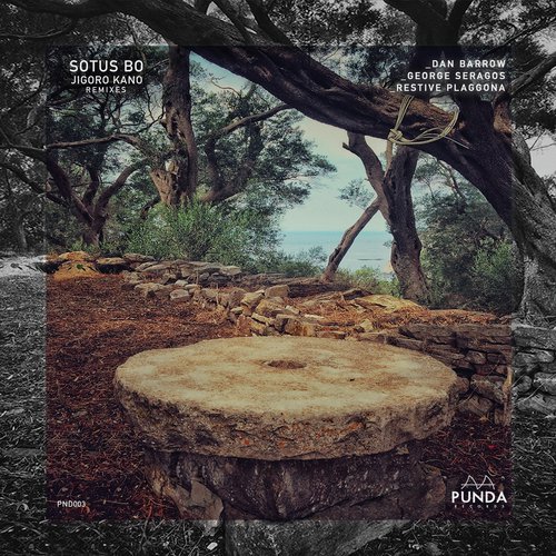 Own to Believe (Restive Plaggona Remix) cover art