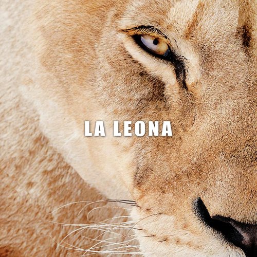 La Leona_poster_image