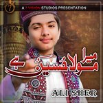 Mere Maula Maula Hussain Hain