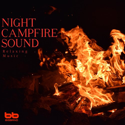 Wood Fire Sound with Insects of Forest