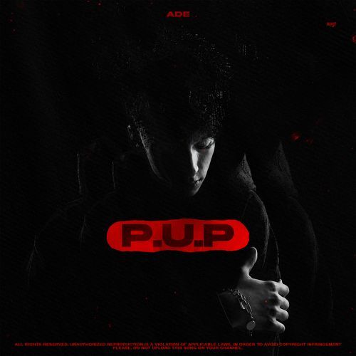 P.U.P