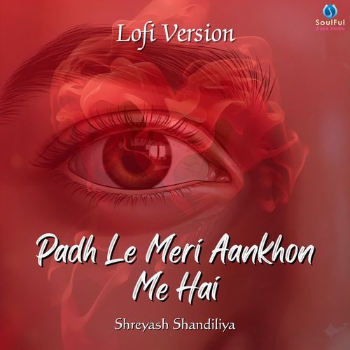 Padh Le Meri Aankhon Me Hai (Lofi Version)