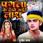 Pagla Ke Dekhe Aaihe Lash