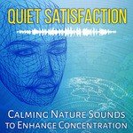 Quiet Satisfaction (Healing Space)