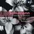 Schumann: Symphony No. 4 in D Minor, Op. 120: II. Romanze. Ziemlich langsam